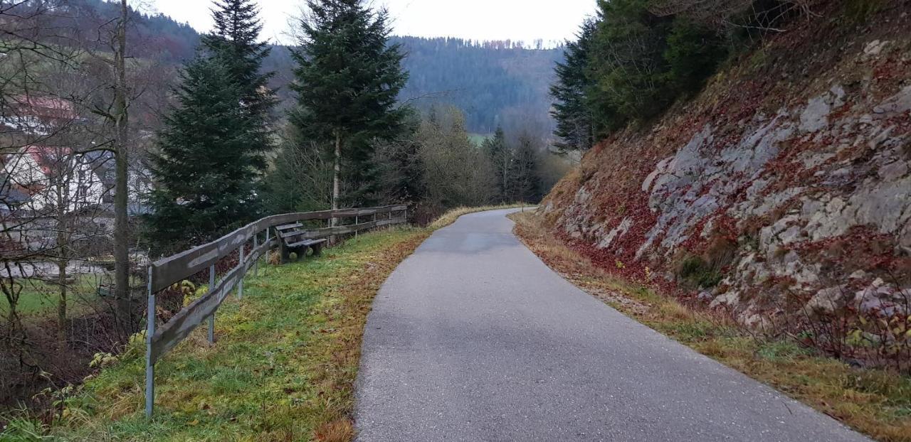 Ferienwohnung "Hirschlein" Im Schwarzwald Baiersbronn Buitenkant foto