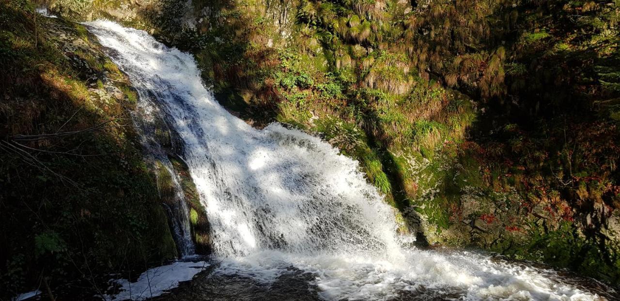 Ferienwohnung "Hirschlein" Im Schwarzwald Baiersbronn Buitenkant foto