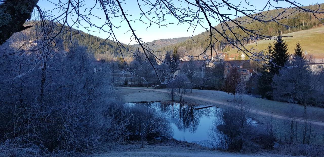 Ferienwohnung "Hirschlein" Im Schwarzwald Baiersbronn Buitenkant foto