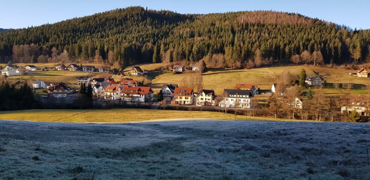 Ferienwohnung "Hirschlein" Im Schwarzwald Baiersbronn Buitenkant foto