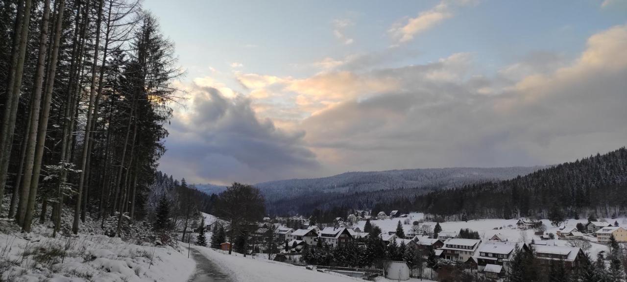 Ferienwohnung "Hirschlein" Im Schwarzwald Baiersbronn Buitenkant foto