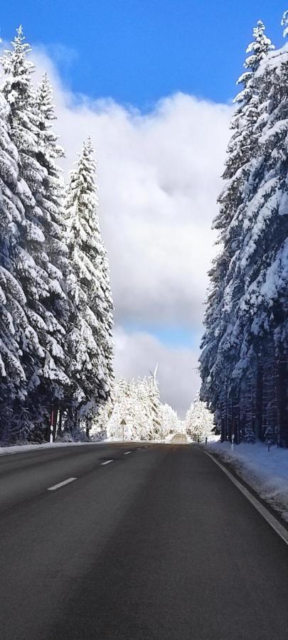 Ferienwohnung "Hirschlein" Im Schwarzwald Baiersbronn Buitenkant foto
