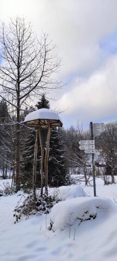 Ferienwohnung "Hirschlein" Im Schwarzwald Baiersbronn Buitenkant foto