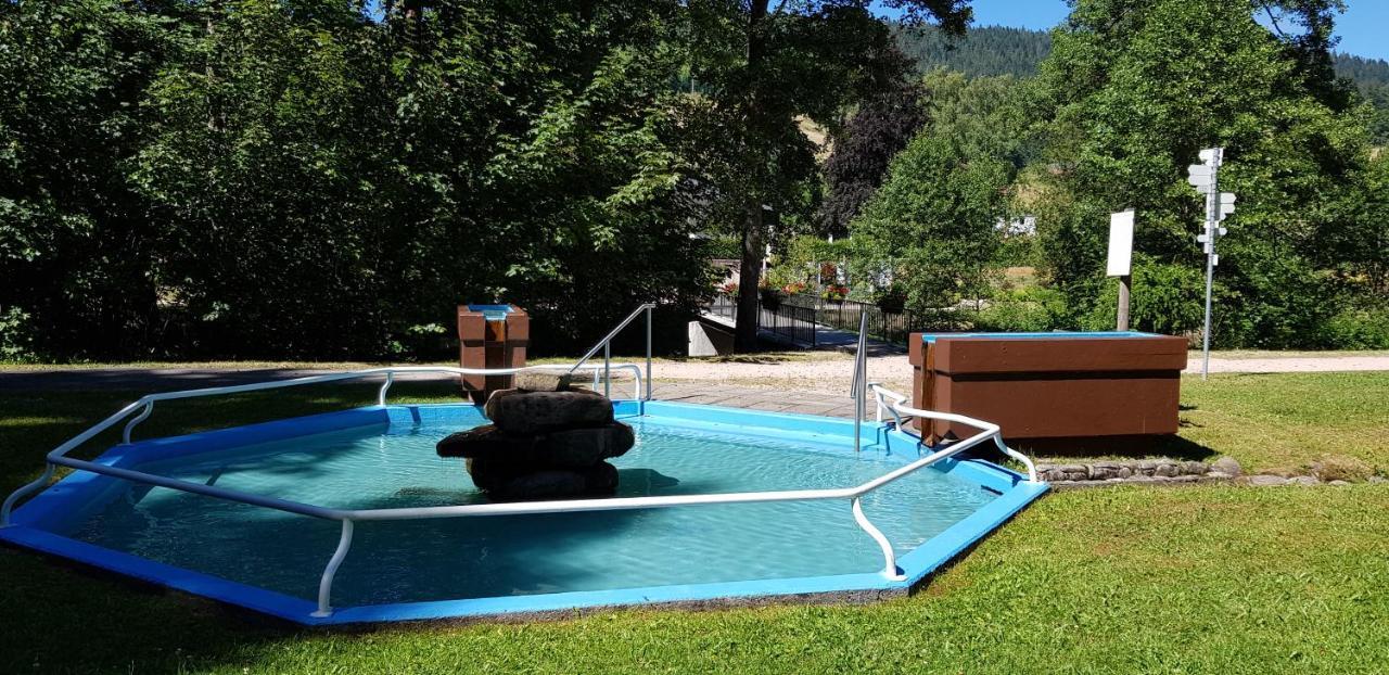 Ferienwohnung "Hirschlein" Im Schwarzwald Baiersbronn Buitenkant foto