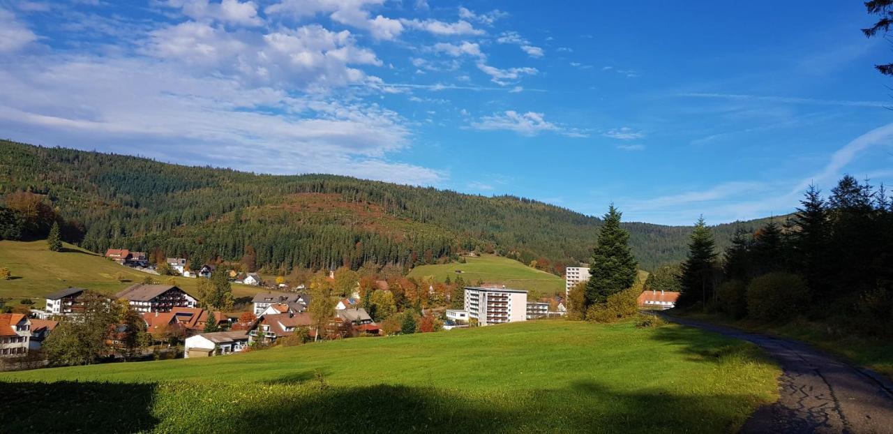 Ferienwohnung "Hirschlein" Im Schwarzwald Baiersbronn Buitenkant foto