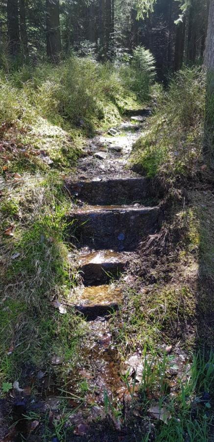 Ferienwohnung "Hirschlein" Im Schwarzwald Baiersbronn Buitenkant foto