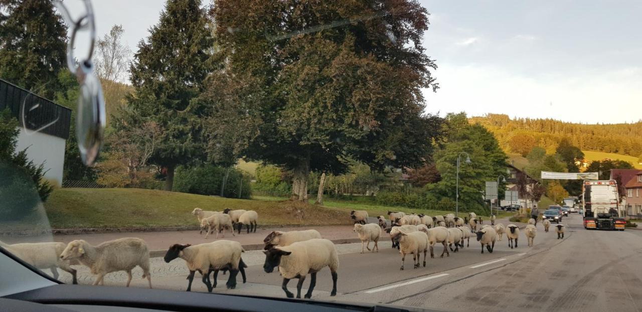 Ferienwohnung "Hirschlein" Im Schwarzwald Baiersbronn Buitenkant foto